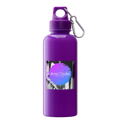 Custom Brio PS Water Bottles with Carabiner (20 Oz.)